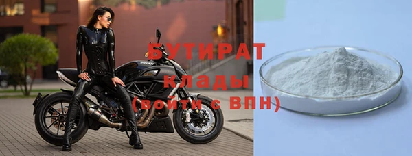 ГАЛЛЮЦИНОГЕННЫЕ ГРИБЫ Ельня