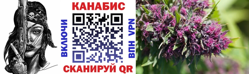 купить наркоту  Ермолино  Бошки марихуана Ganja 